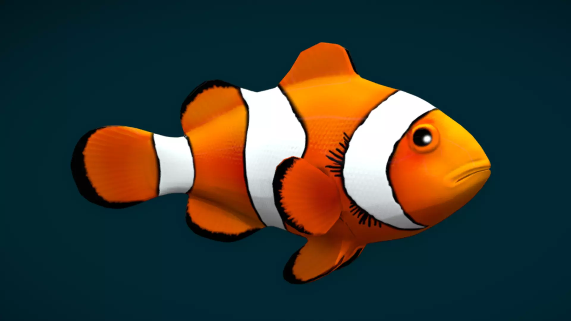 Coral Reef Fish Collection Animated - Game Ready pack 1 Low-poly 3D model_62