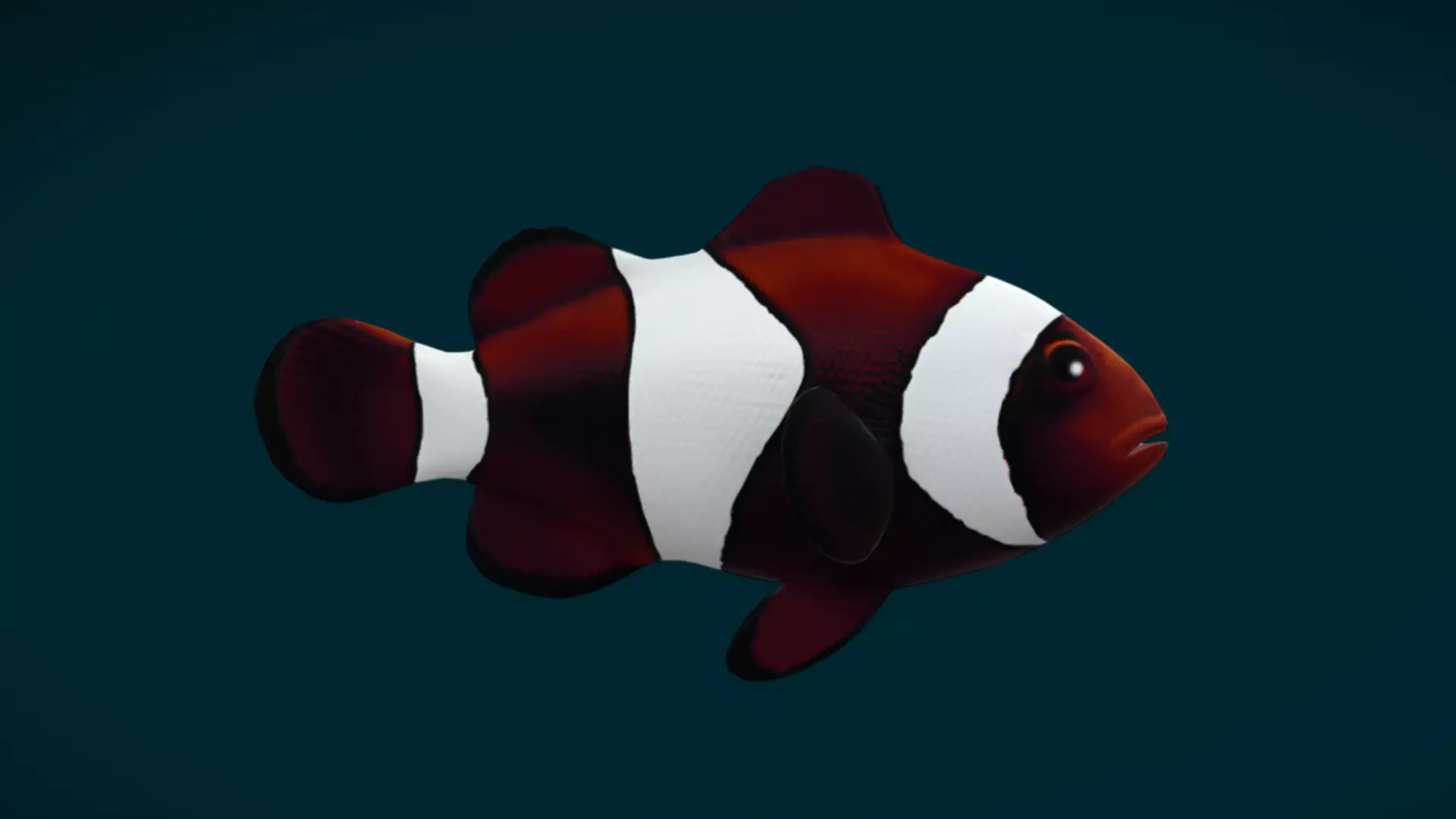 Coral Reef Fish Collection Animated - Game Ready pack 1 Low-poly 3D model_63