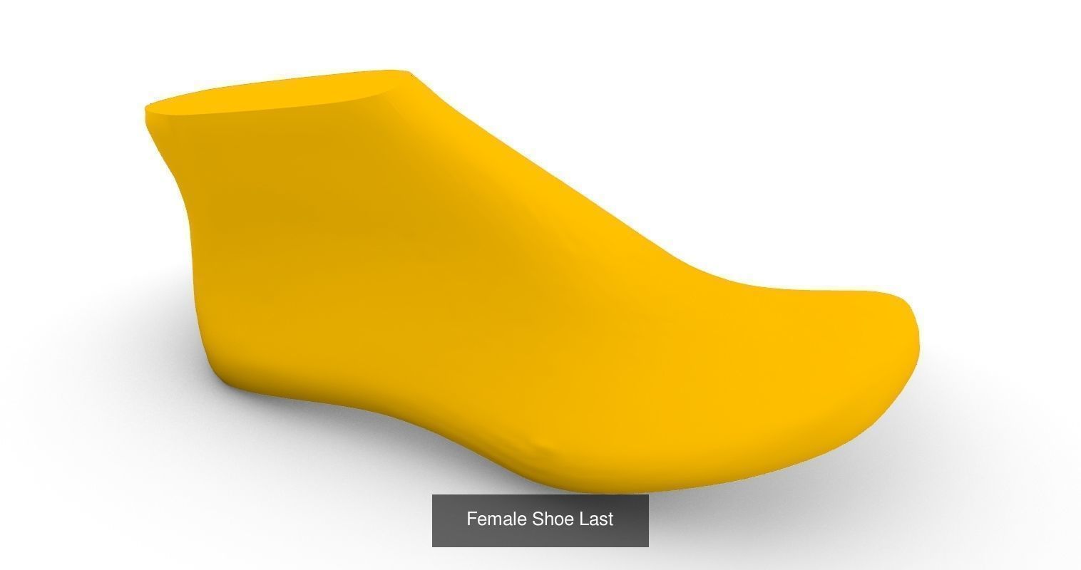 Shoe Last Collection _3