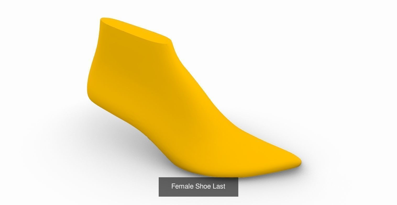 Shoe Last Collection _19