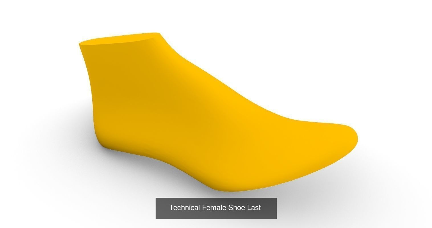 Shoe Last Collection _4