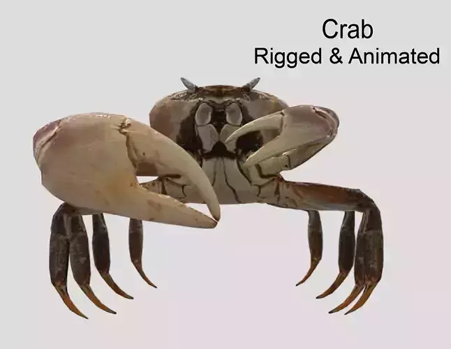 Crab Realistic Animated Low-poly 3D model