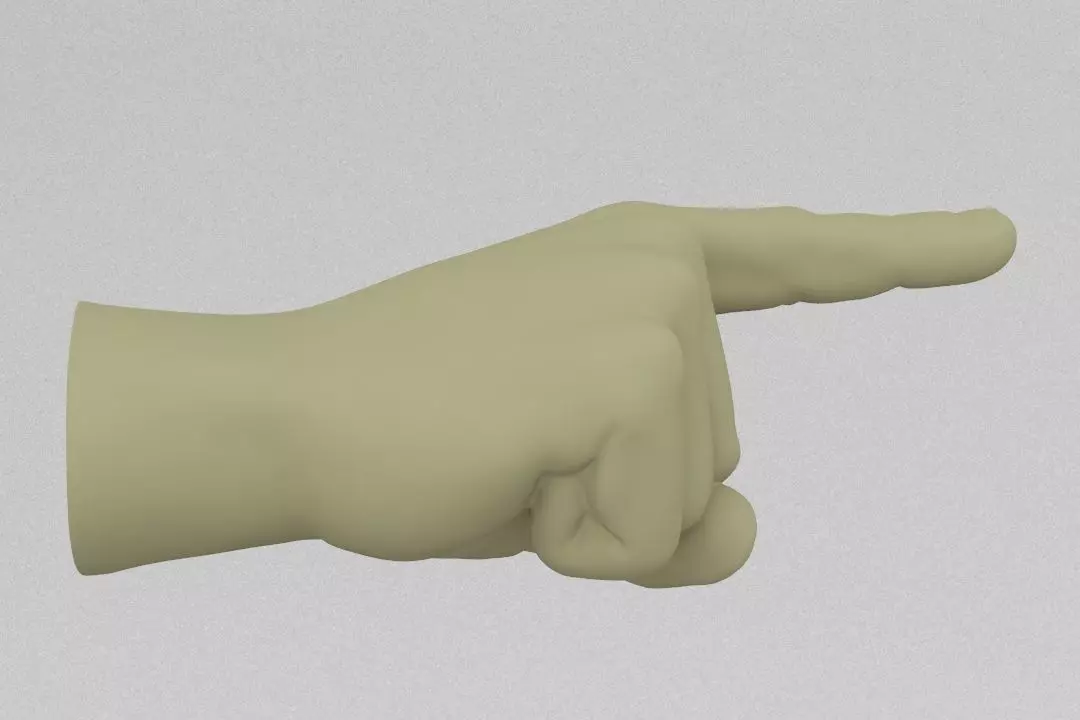 Hand with finger 3D print model
