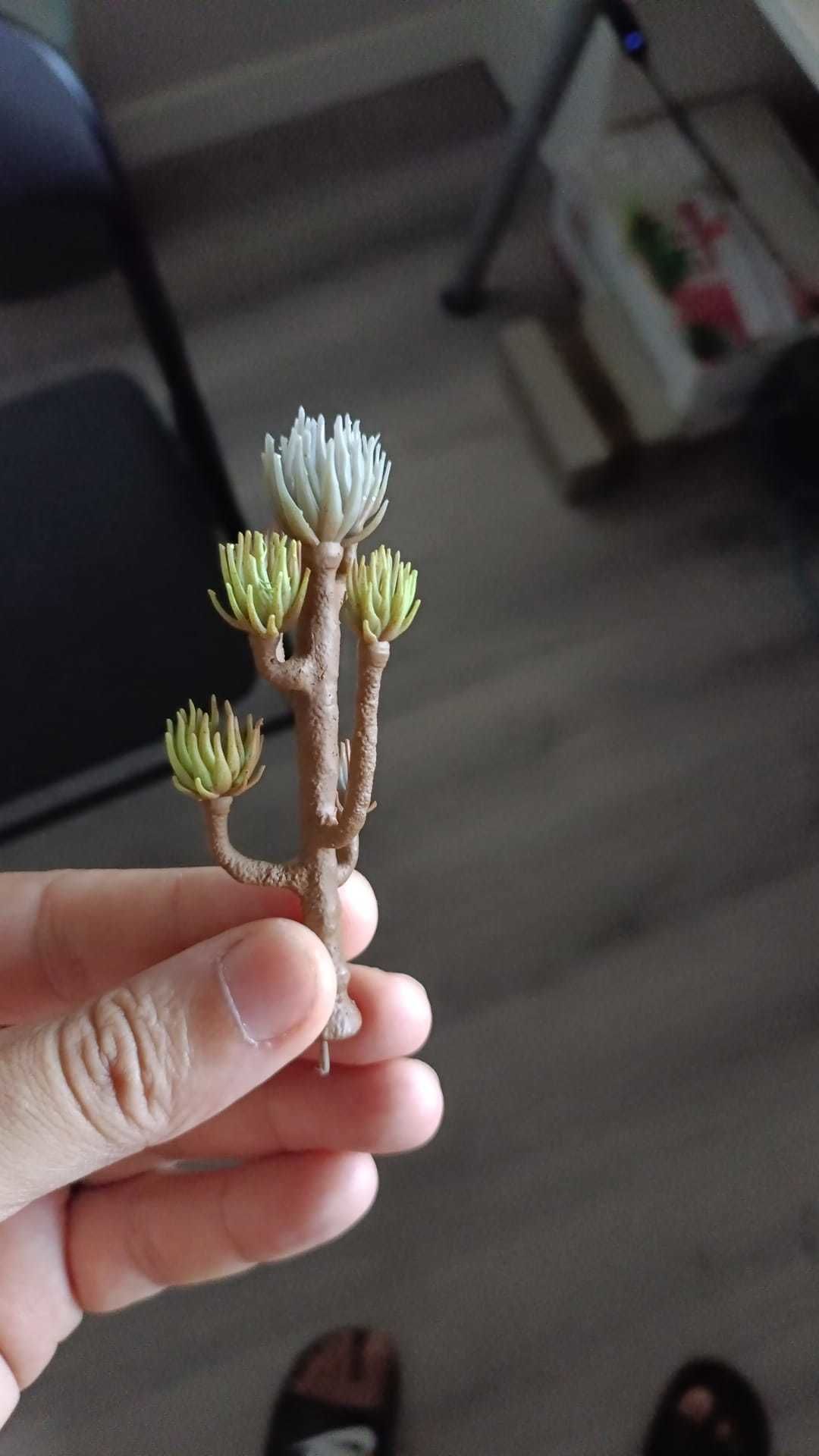 PACK ALIEN PLANTS OLDHAMMER 3D PRINTABLE MODEL 3D print model_5