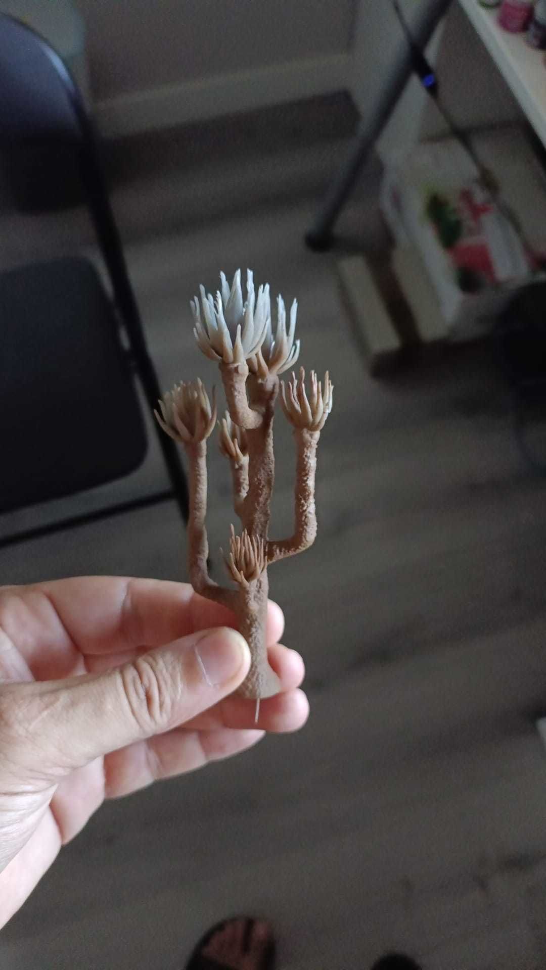 PACK ALIEN PLANTS OLDHAMMER 3D PRINTABLE MODEL 3D print model_2