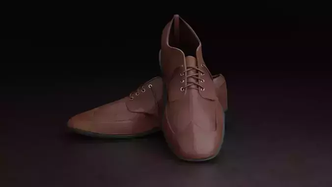 Leather Shoes