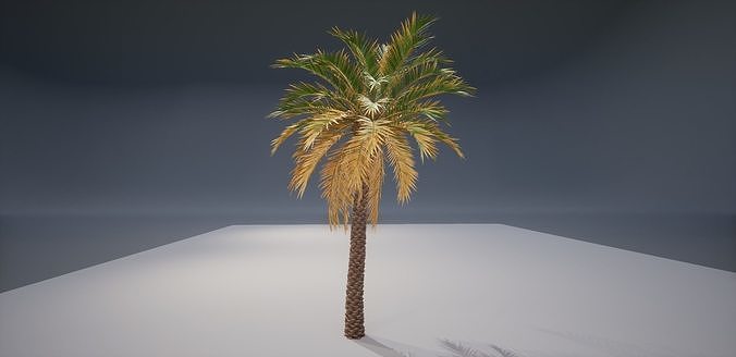 Realistic Palm Low-poly 3D model