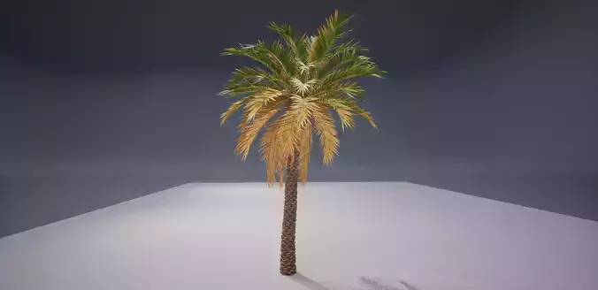 Realistic Palm