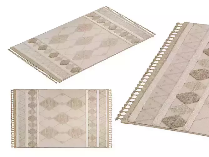 Rug Carney 3D model