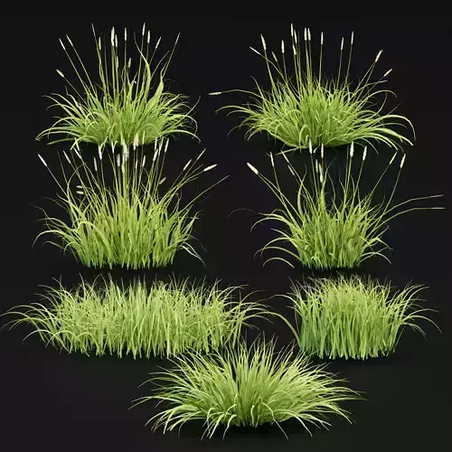 Summer Wild Grass collection vol 224