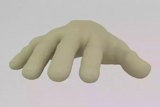 The palm of the hand