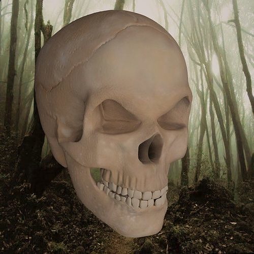 3D Bad Skull 3D model