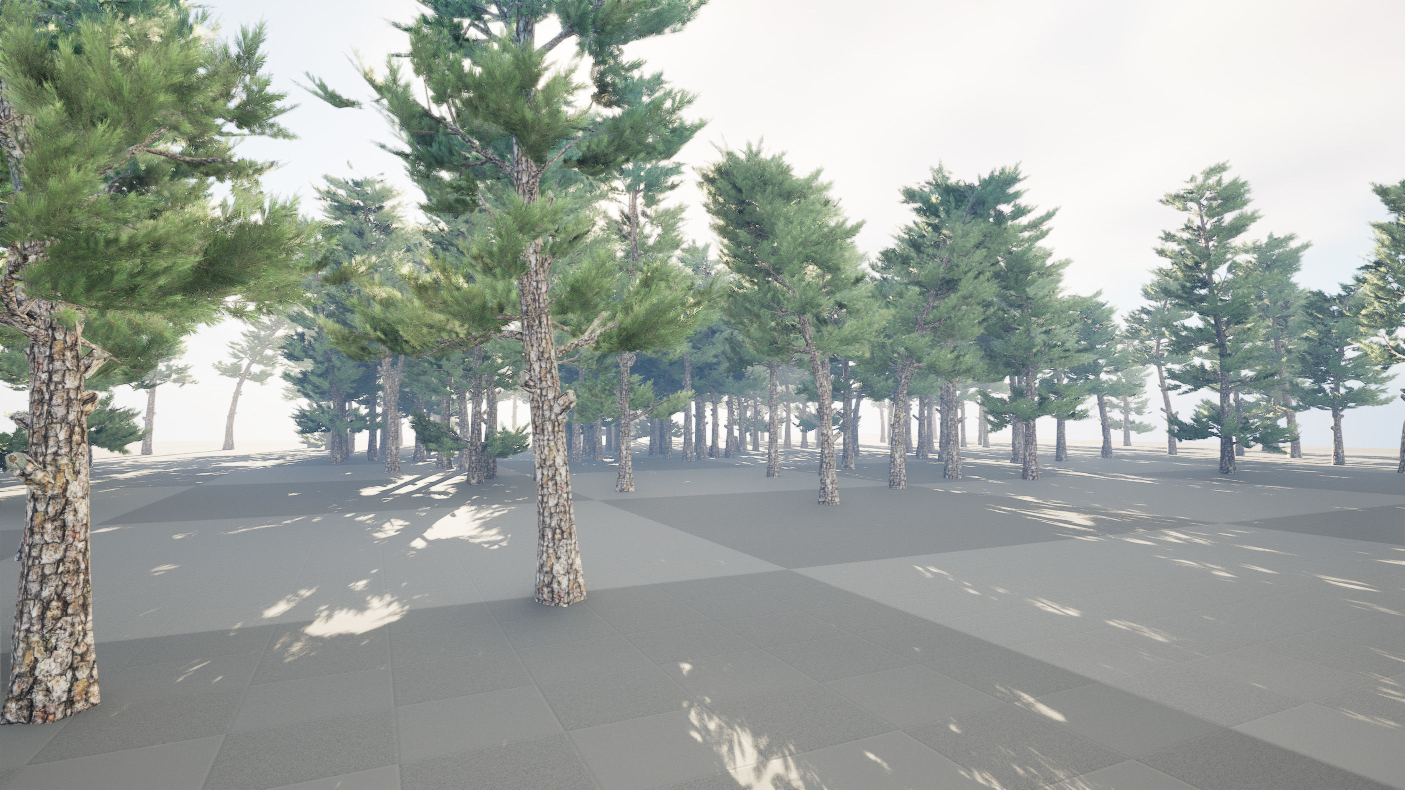 Pine forest trees Low-poly 3D model_2