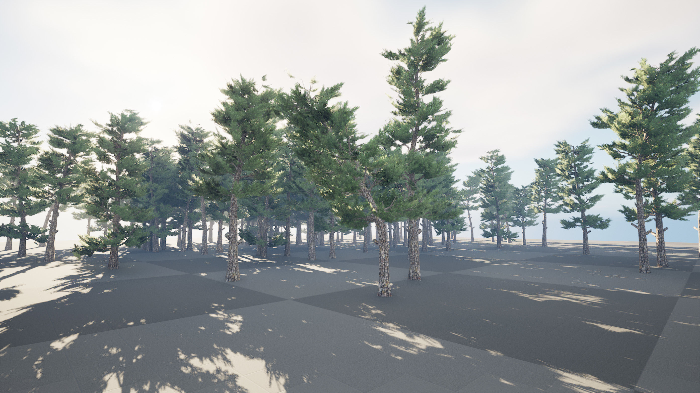 Pine forest trees Low-poly 3D model_3