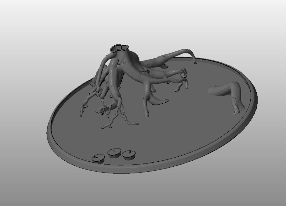 F23 - MANGROVE 20-120mm LIPPED Round Bases 3D print model_4