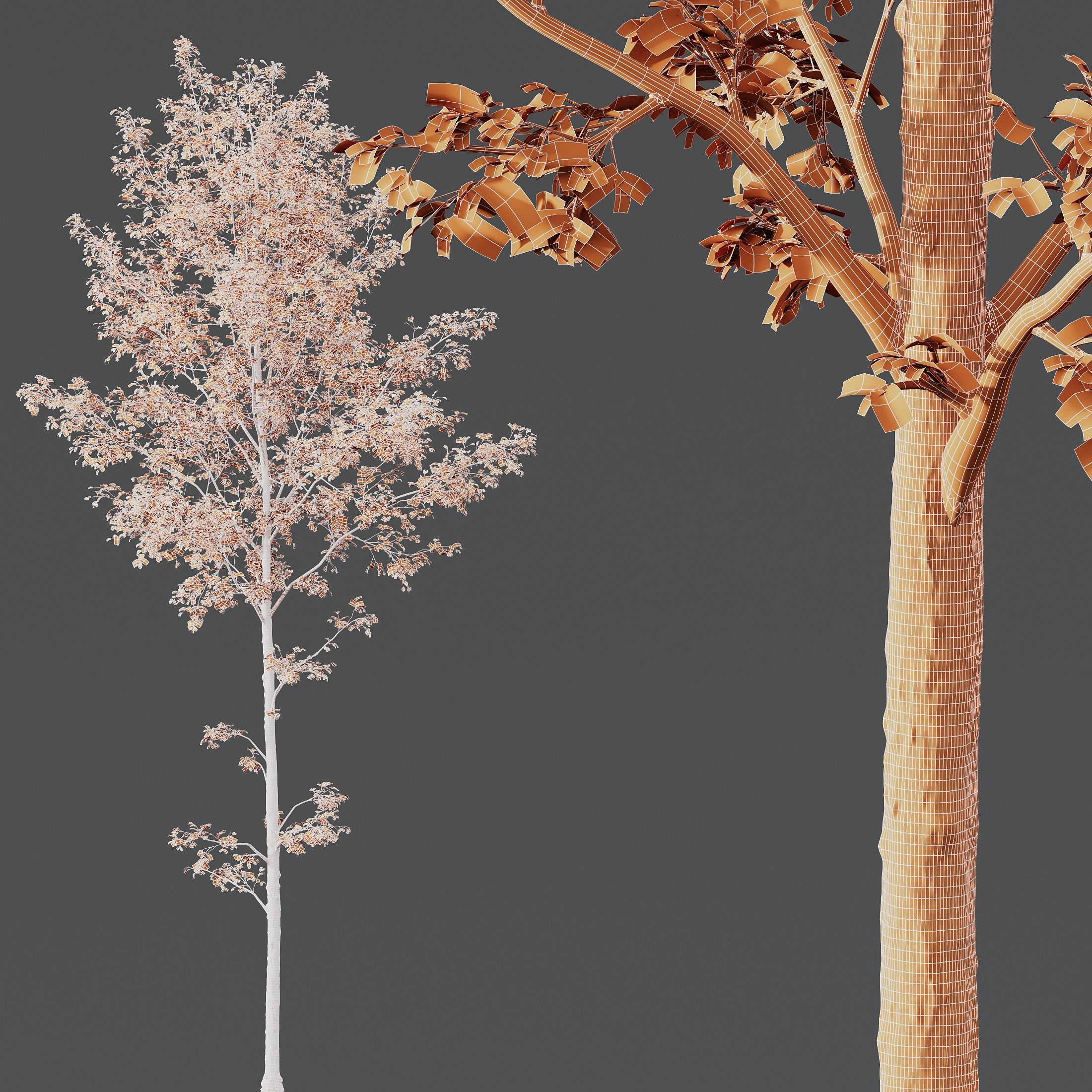 HQ Plants Alnus Glutinosa03 3D model_3