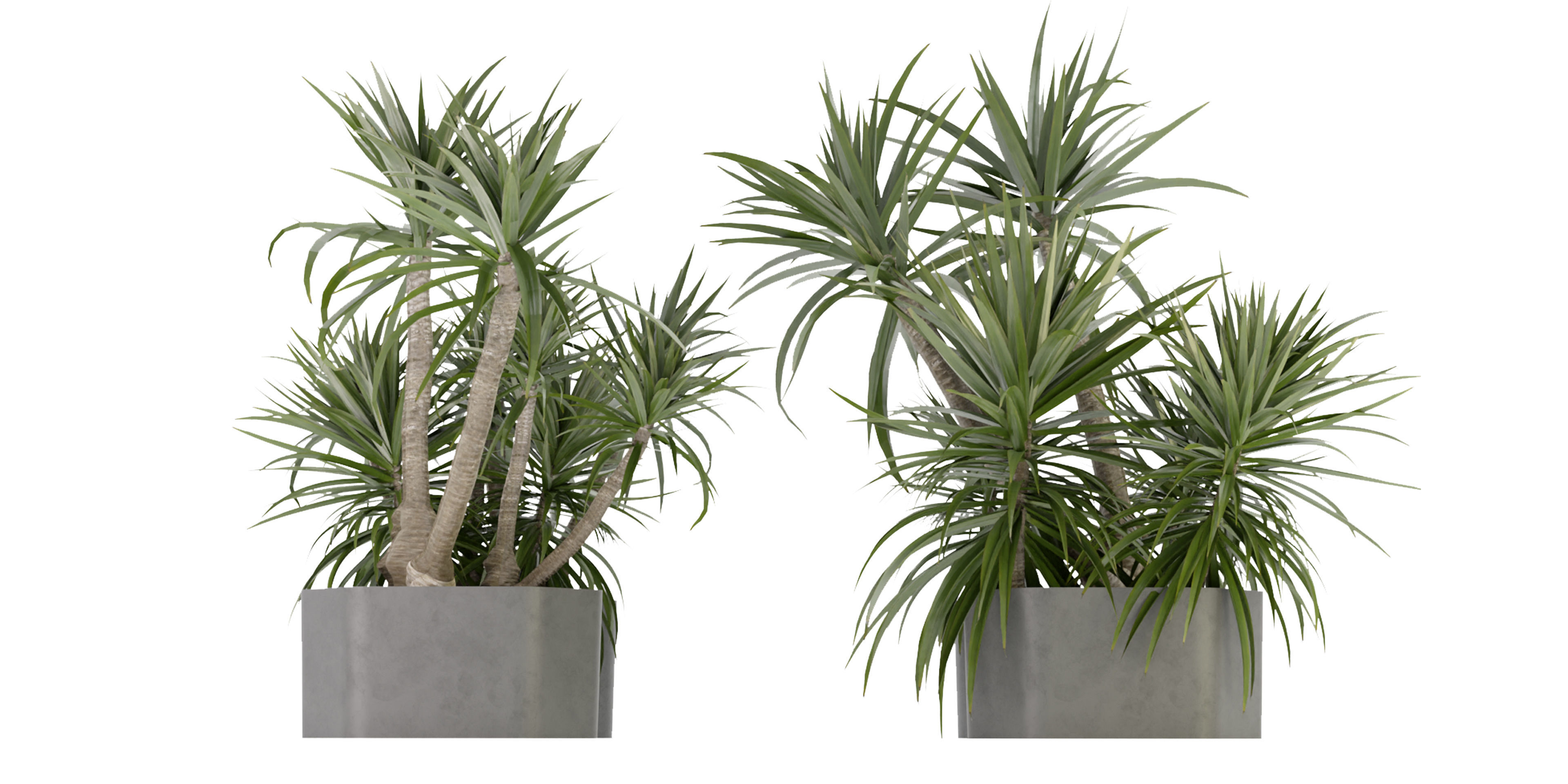 Collection plant vol 321 - blender model  3D model_1