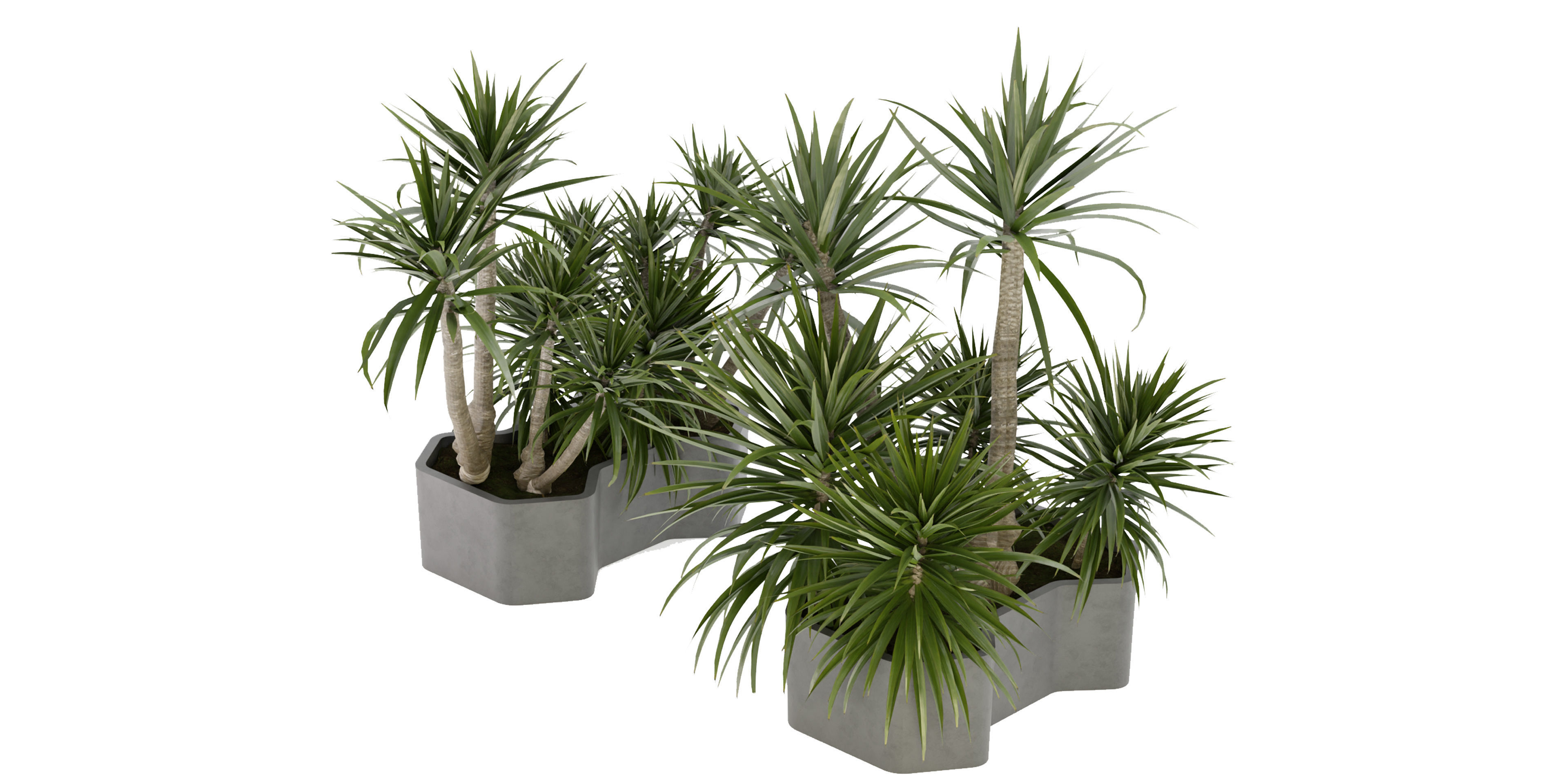 Collection plant vol 321 - blender model  3D model_2