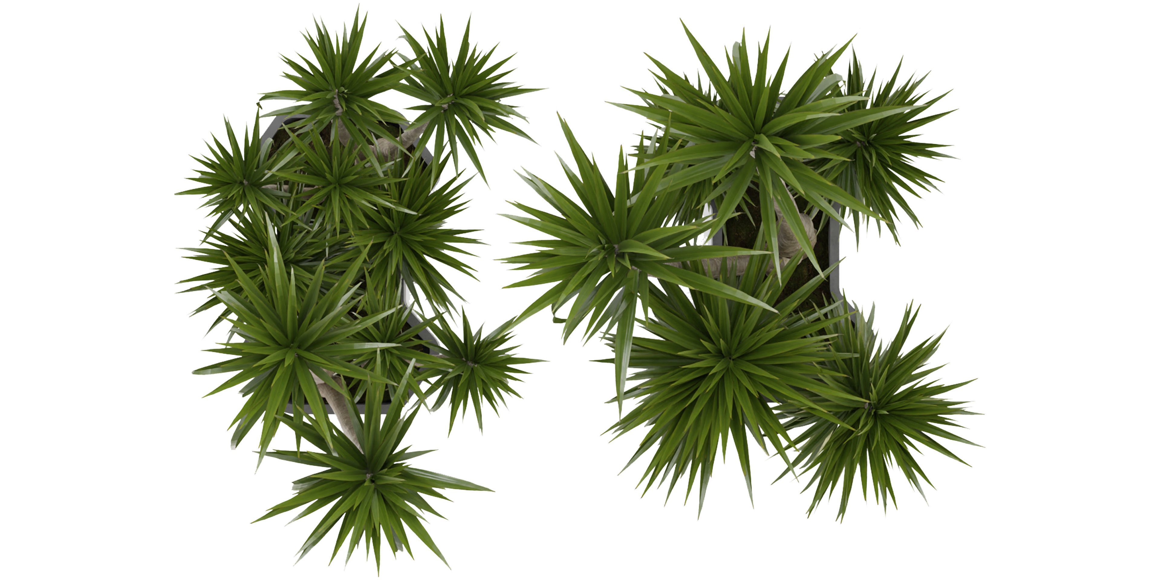 Collection plant vol 321 - blender model  3D model_5