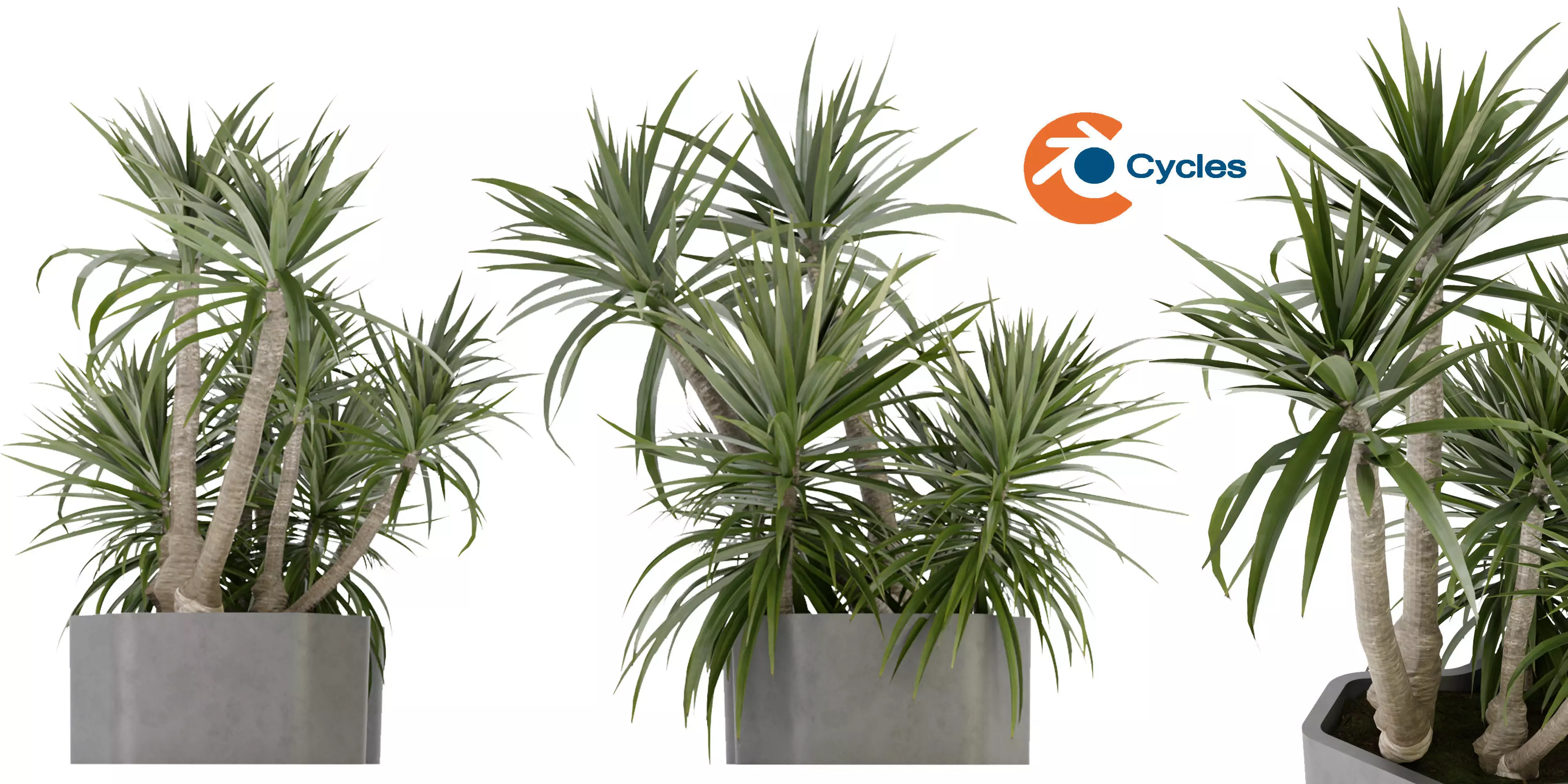 Collection plant vol 321 - blender model  3D model_0