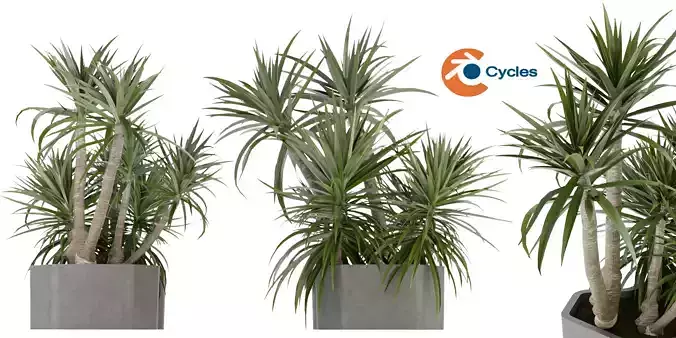Collection plant vol 321 - blender model  3D model