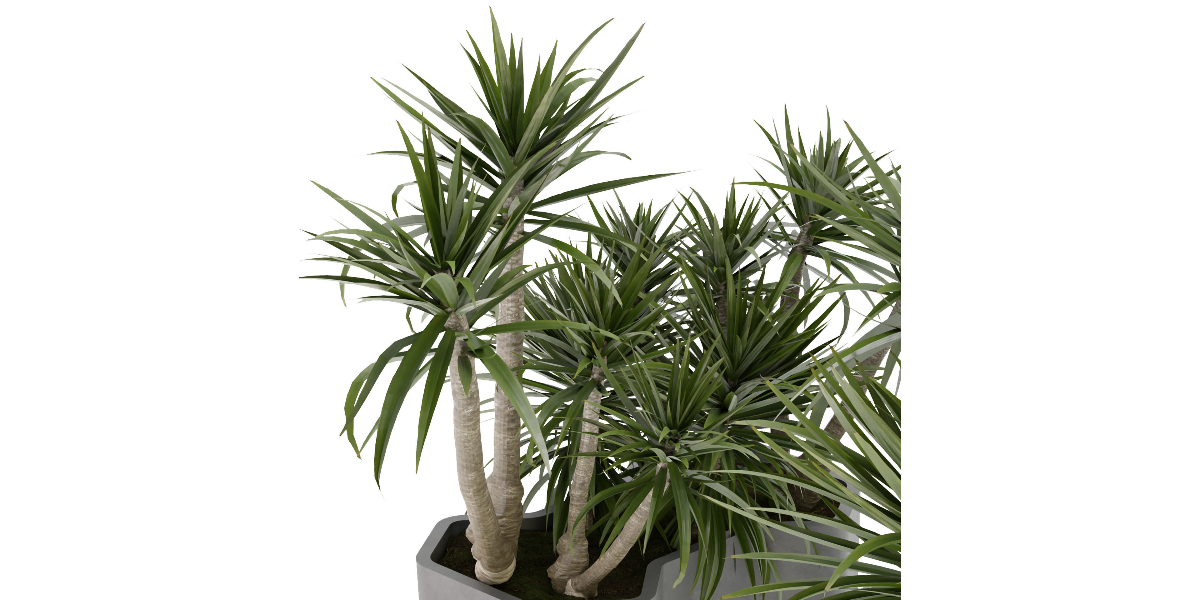 Collection plant vol 321 - blender model  3D model_4