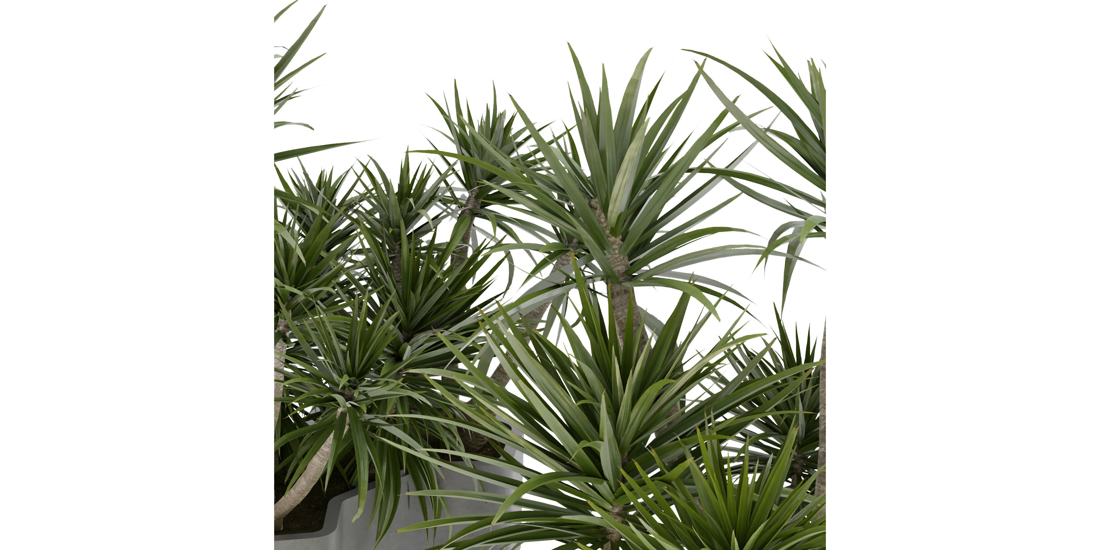 Collection plant vol 321 - blender model  3D model_3