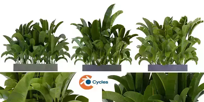 Collection plant vol 322 - blender model 