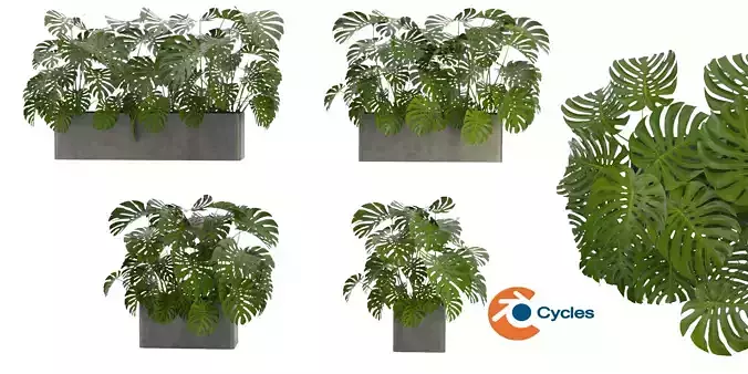 Collection plant vol 323 - blender model 