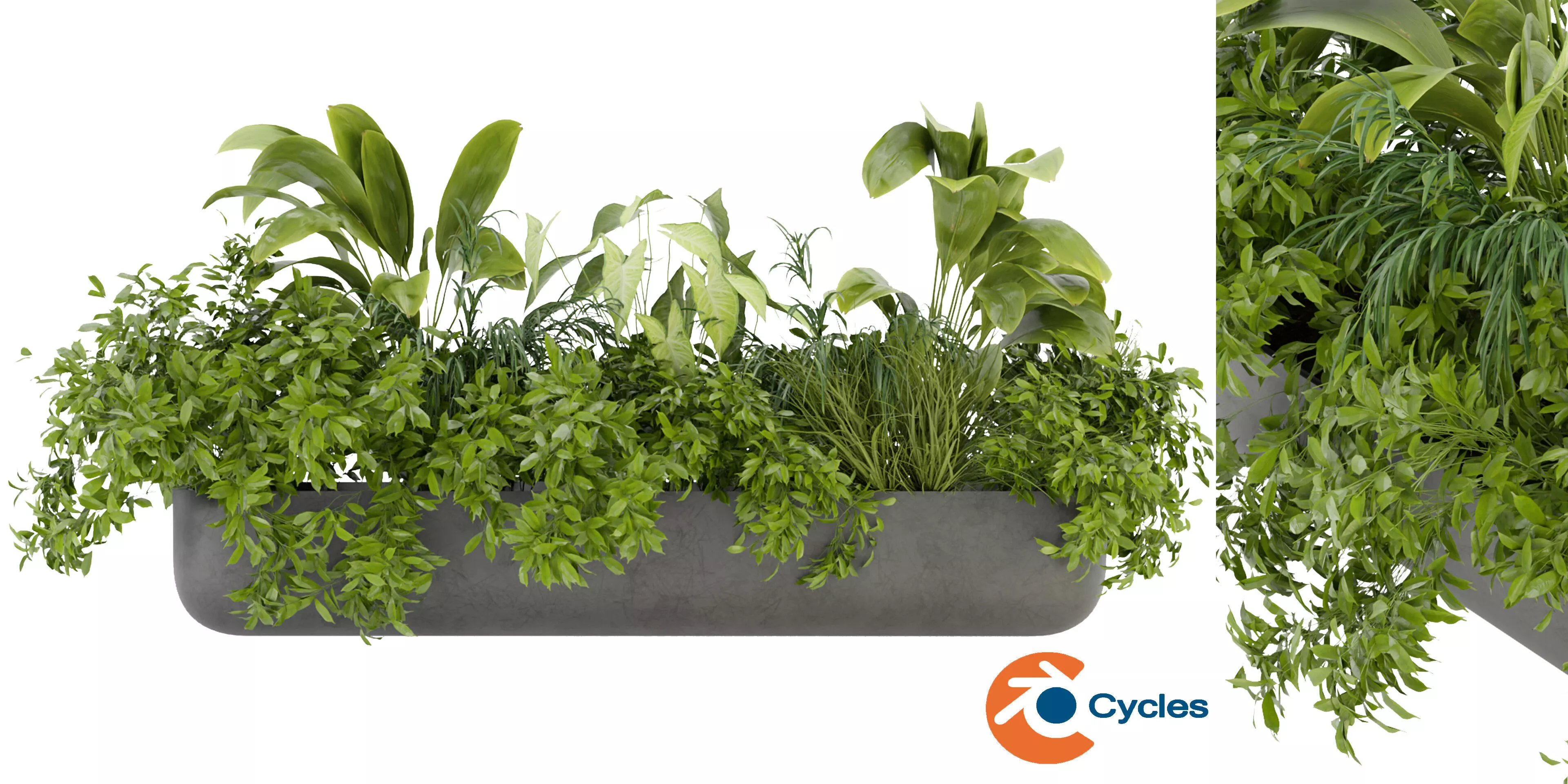 Collection plant vol 325 - blender model 3D model