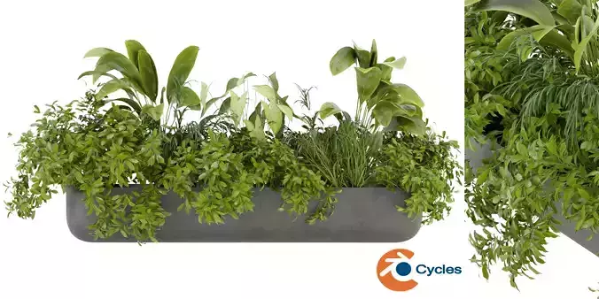 Collection plant vol 325 - blender model 