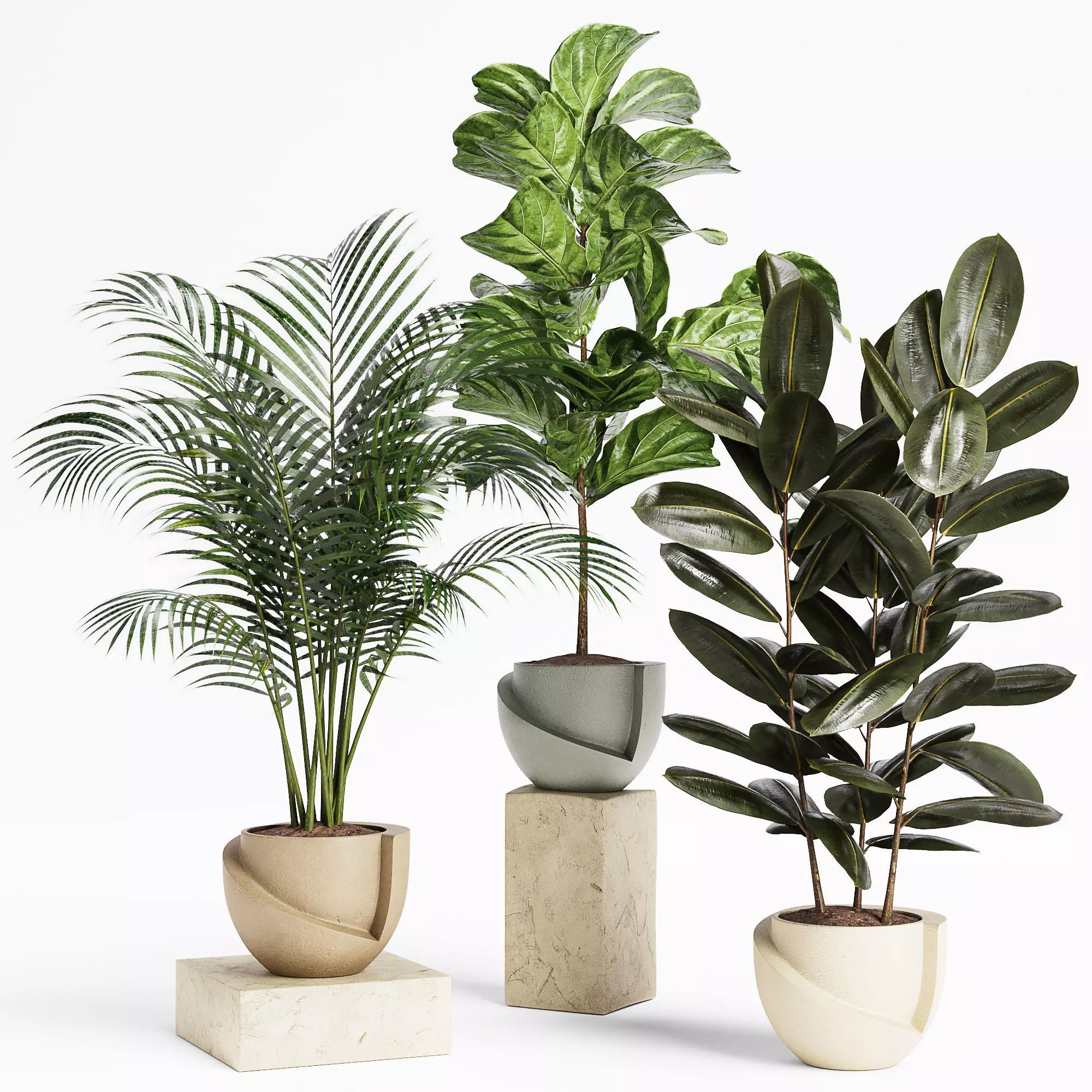 Indoor Plant Set 18 3D model