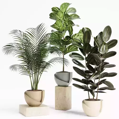 Indoor Plant Set 18