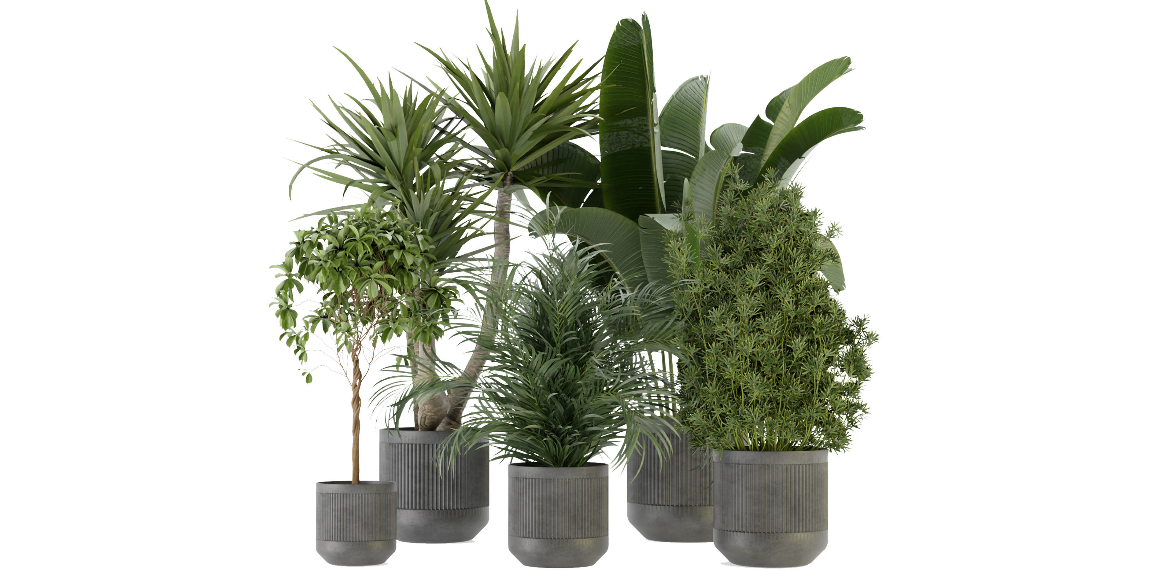 Collection plant vol 330 - blender model  3D model_1