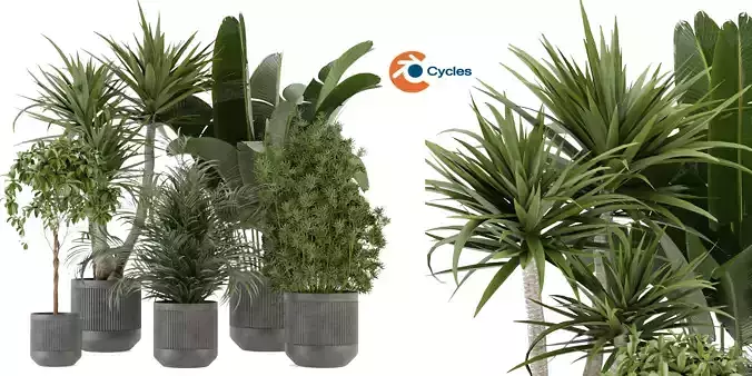 Collection plant vol 330 - blender model 