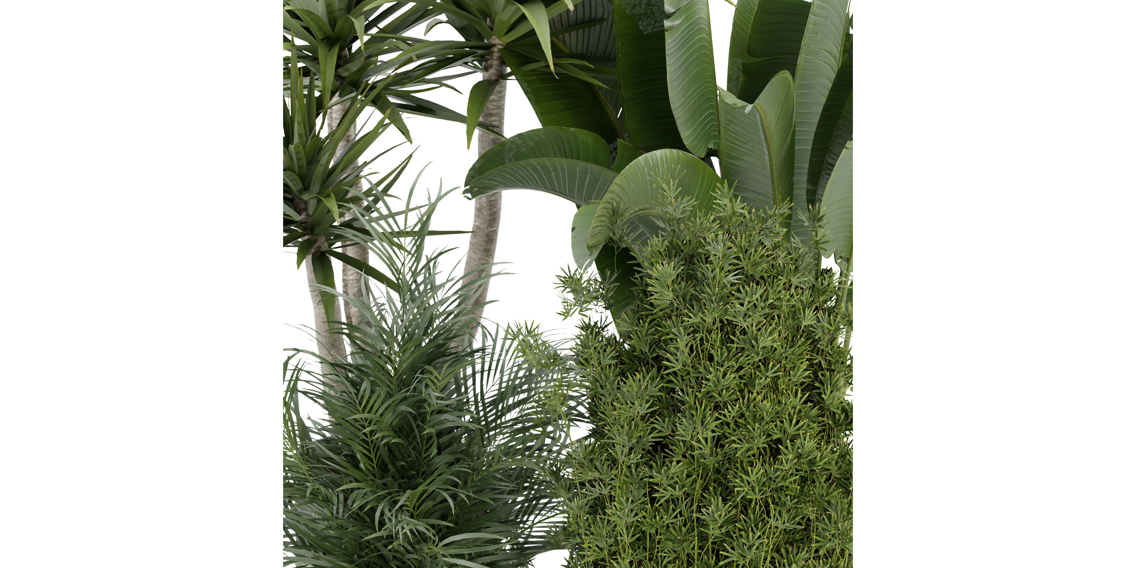 Collection plant vol 330 - blender model  3D model_2