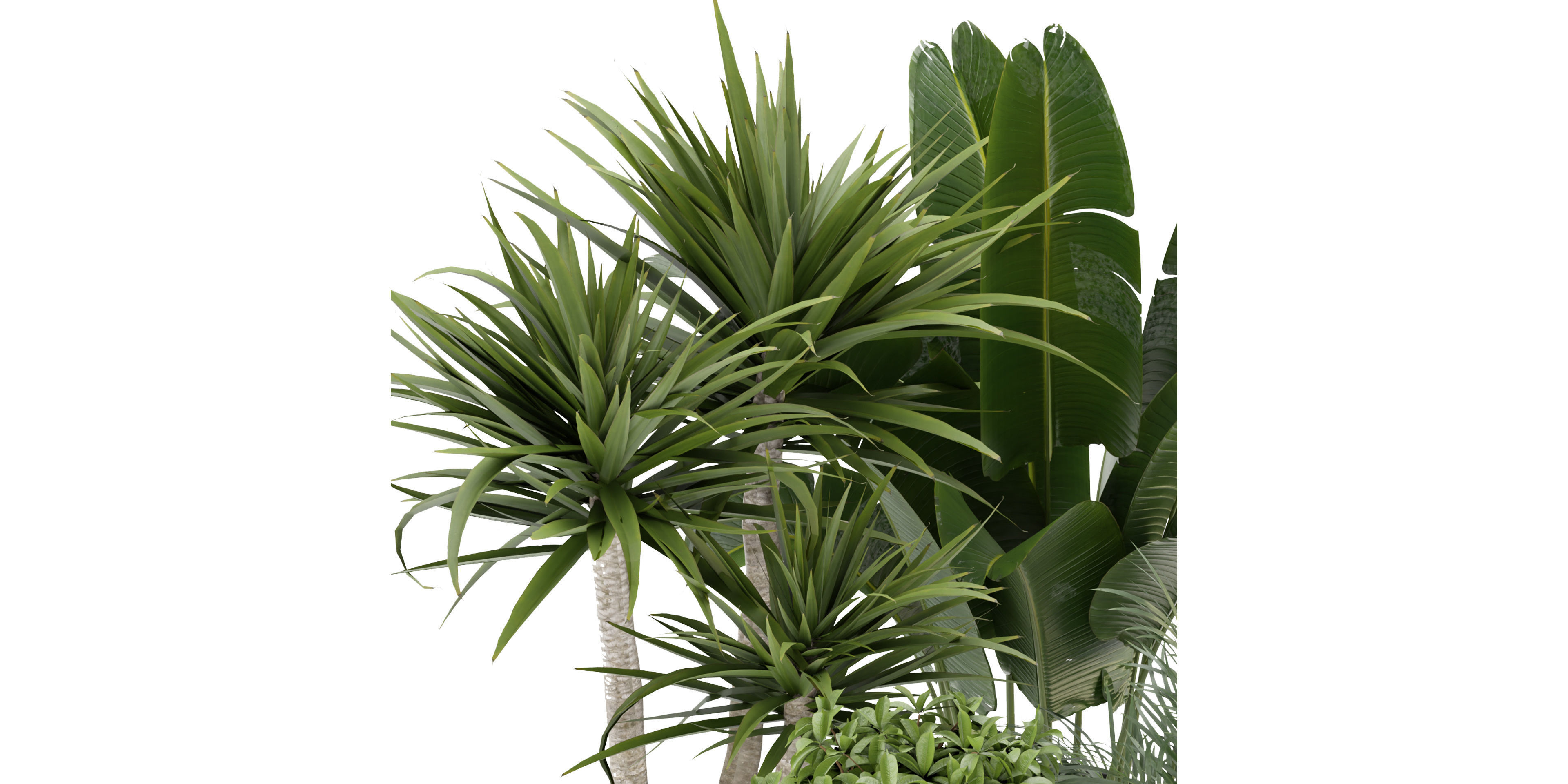 Collection plant vol 330 - blender model  3D model_3