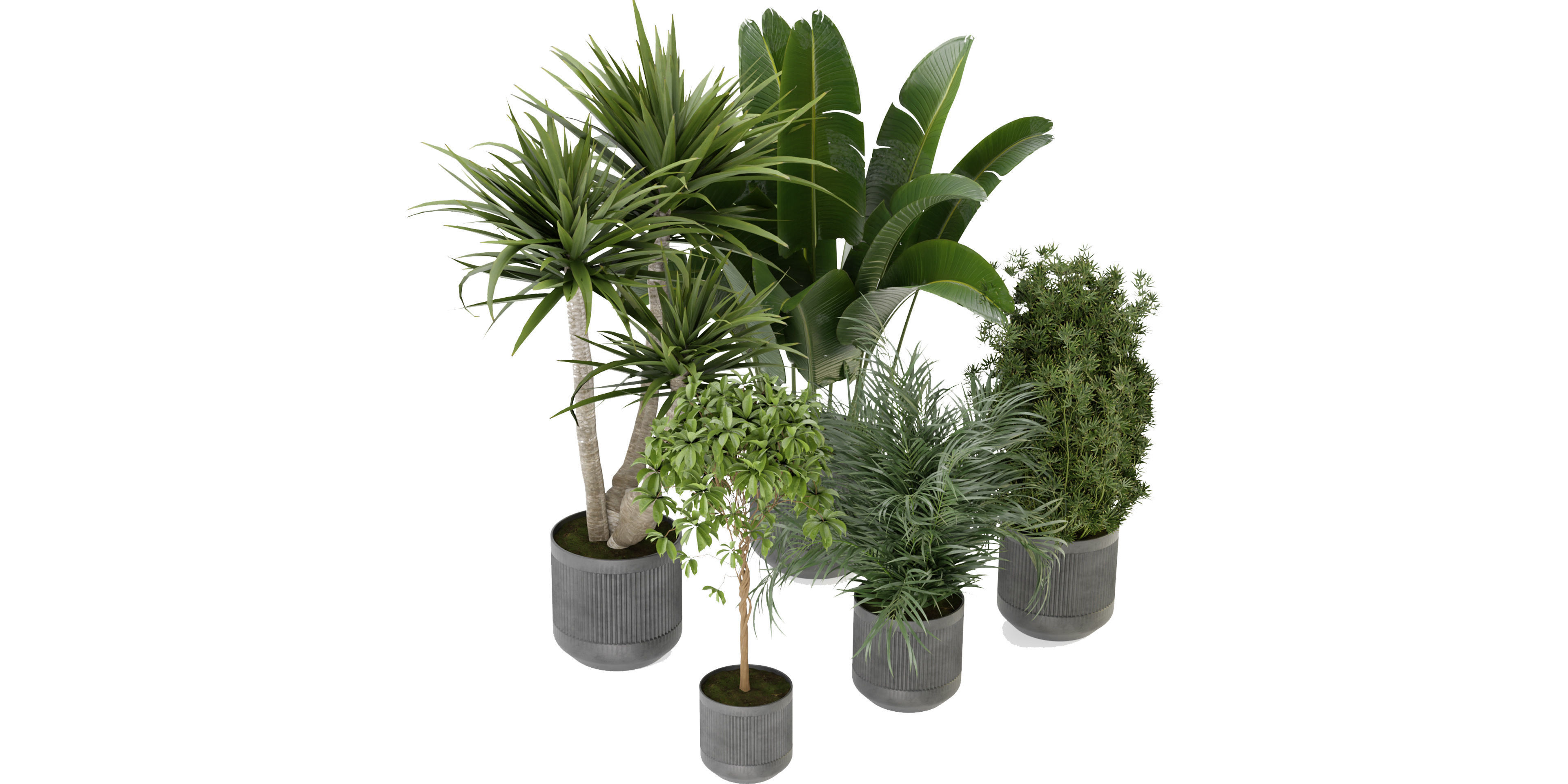 Collection plant vol 330 - blender model  3D model_4