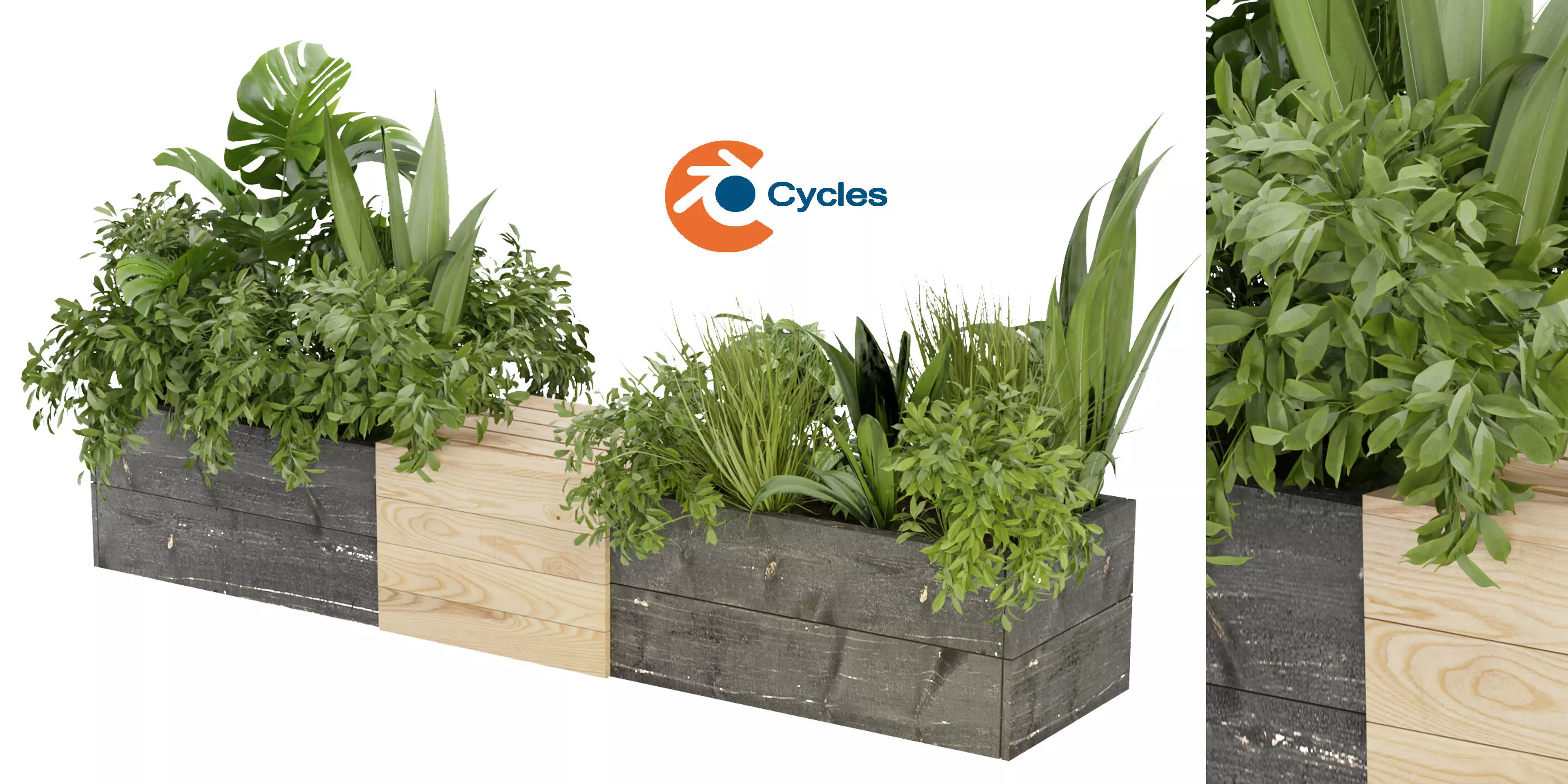 Collection plant vol 332 - blender model  3D model_0