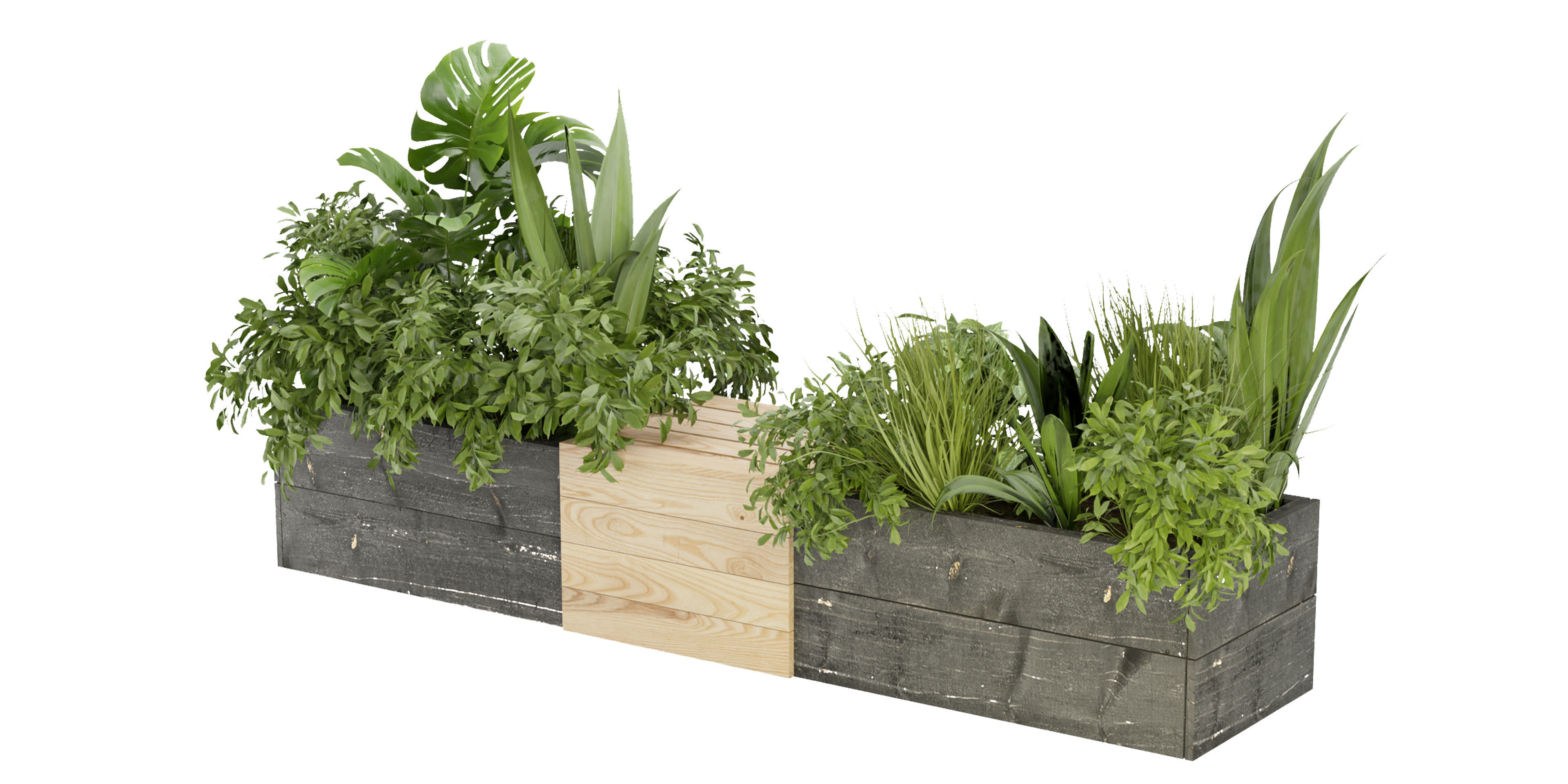 Collection plant vol 332 - blender model  3D model_1