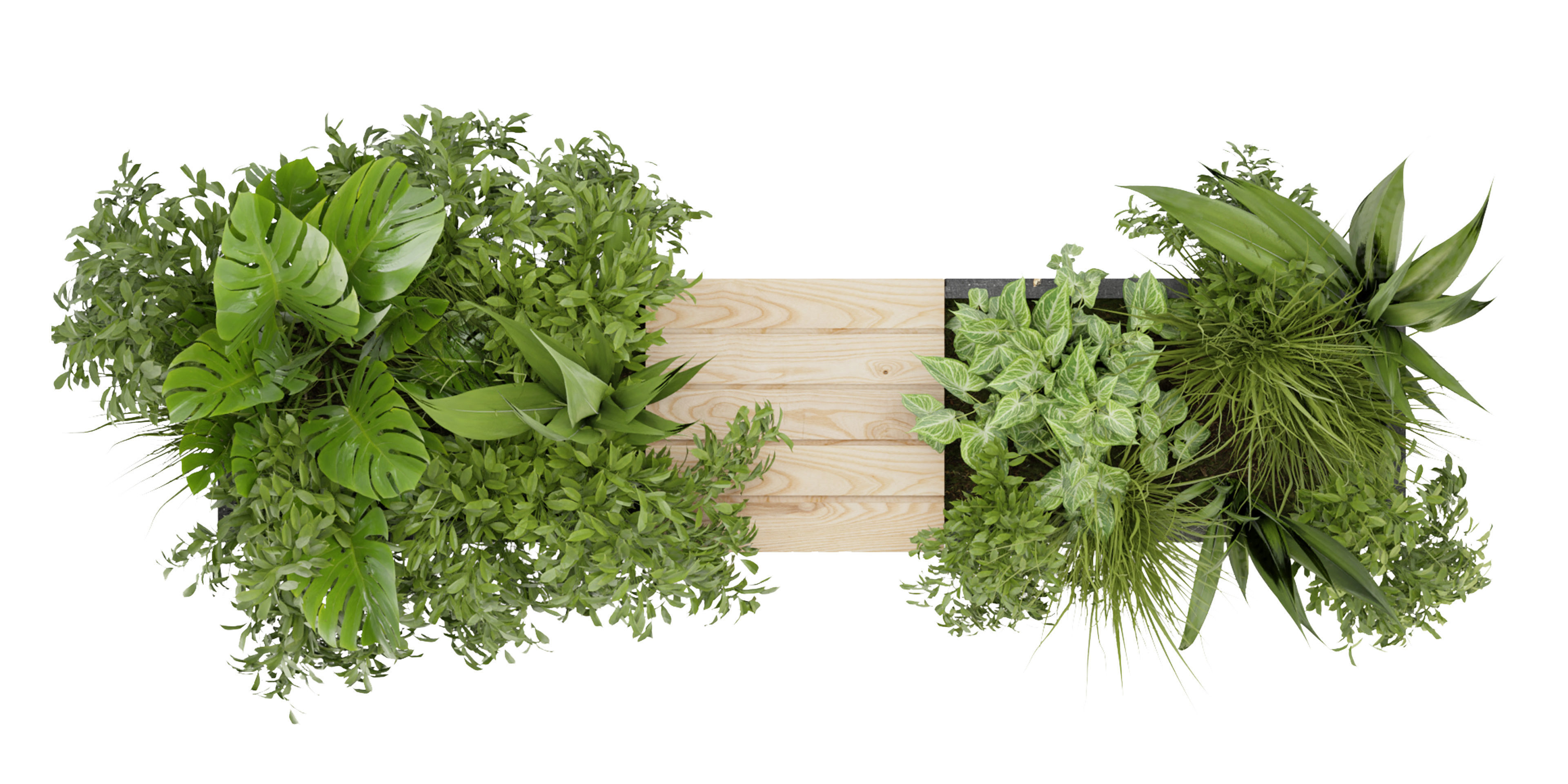 Collection plant vol 332 - blender model  3D model_5