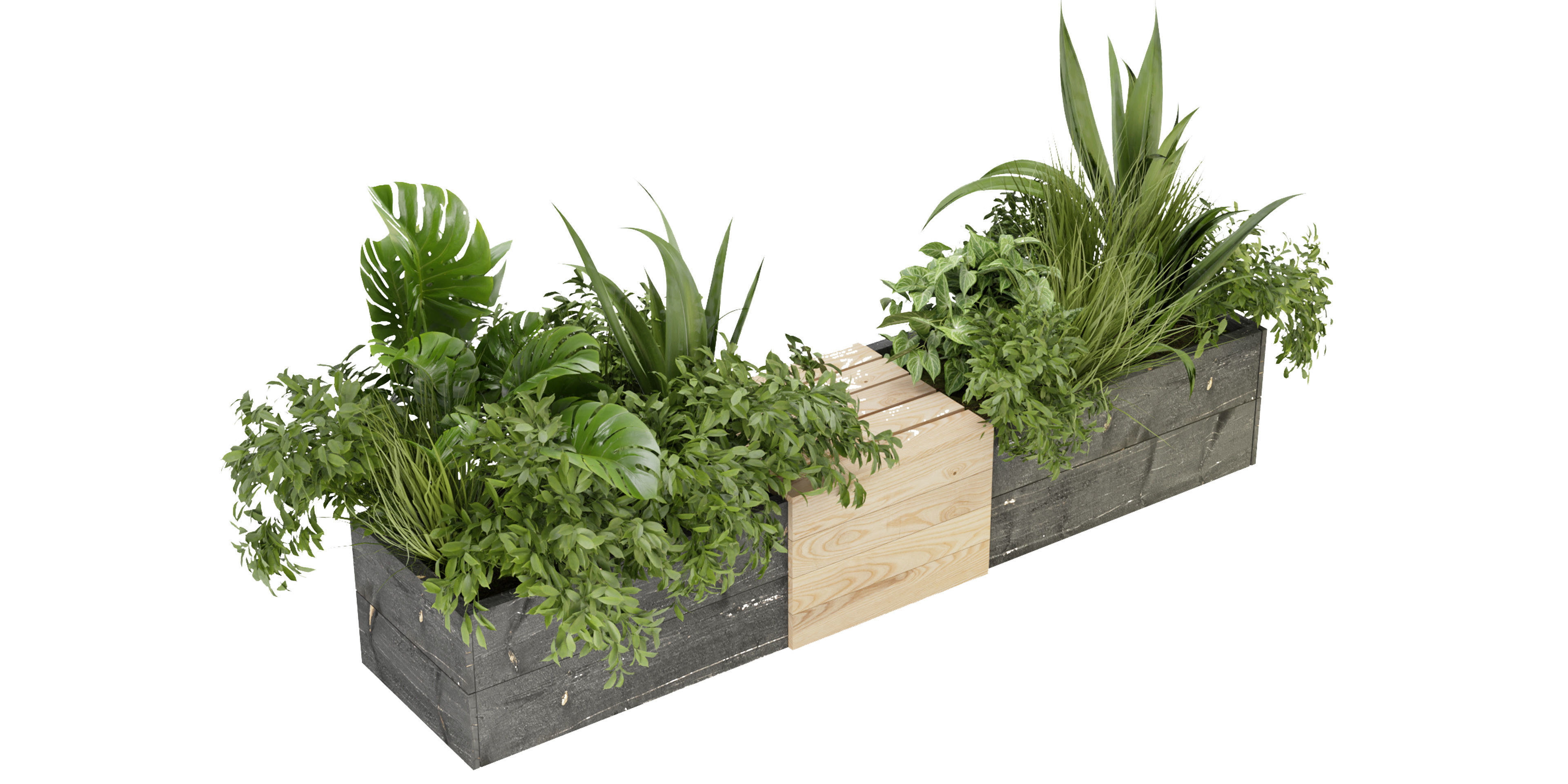 Collection plant vol 332 - blender model  3D model_4