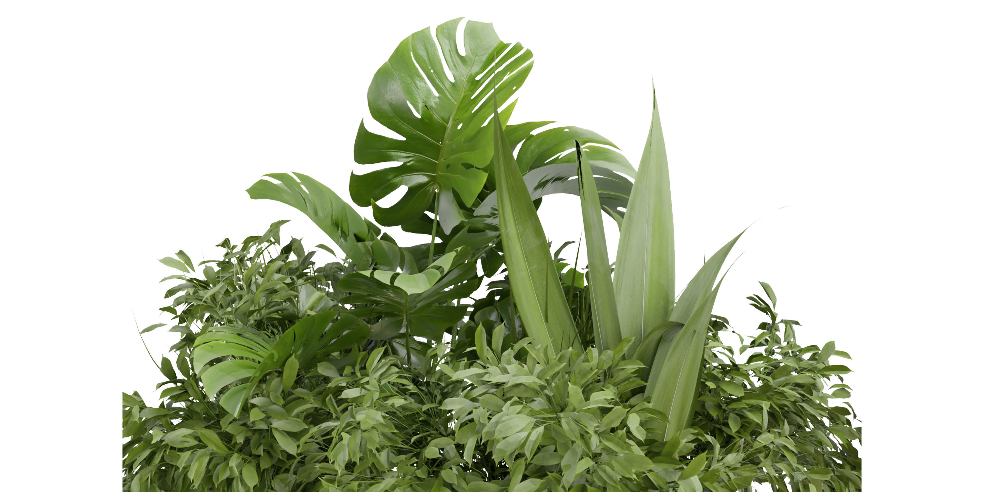 Collection plant vol 332 - blender model  3D model_3