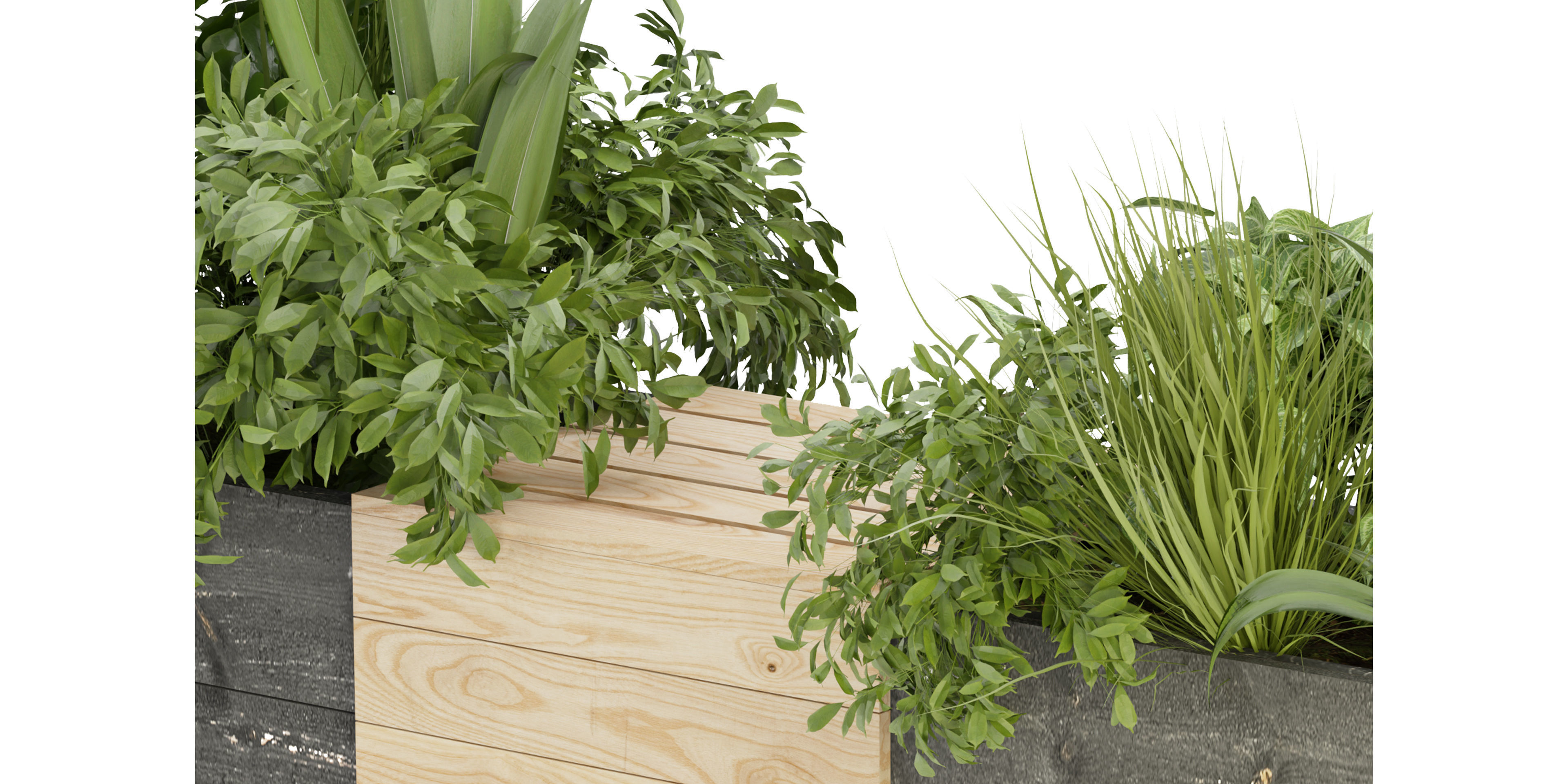 Collection plant vol 332 - blender model  3D model_2