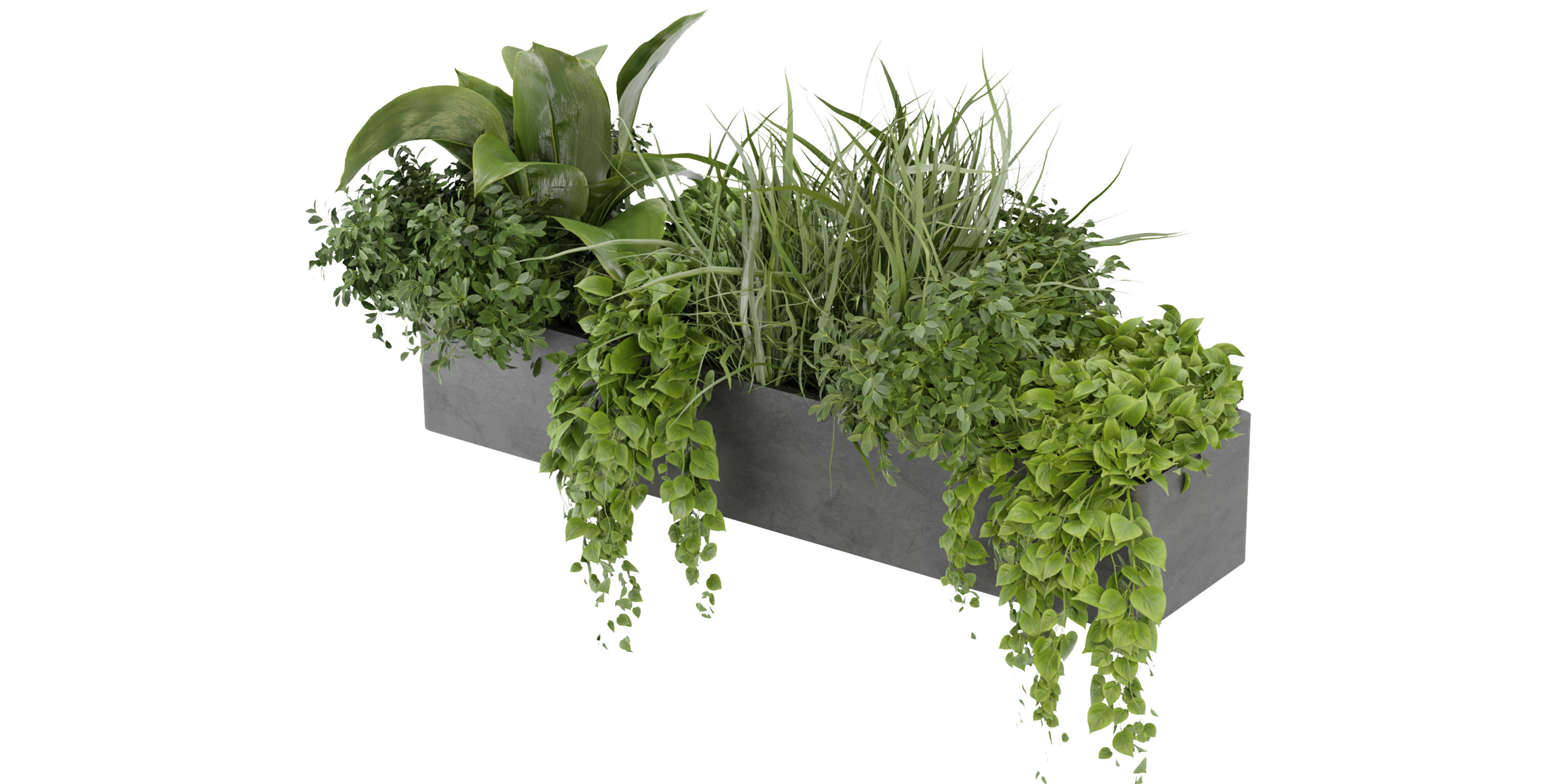 Collection plant vol 333 - blender model  3D model_2