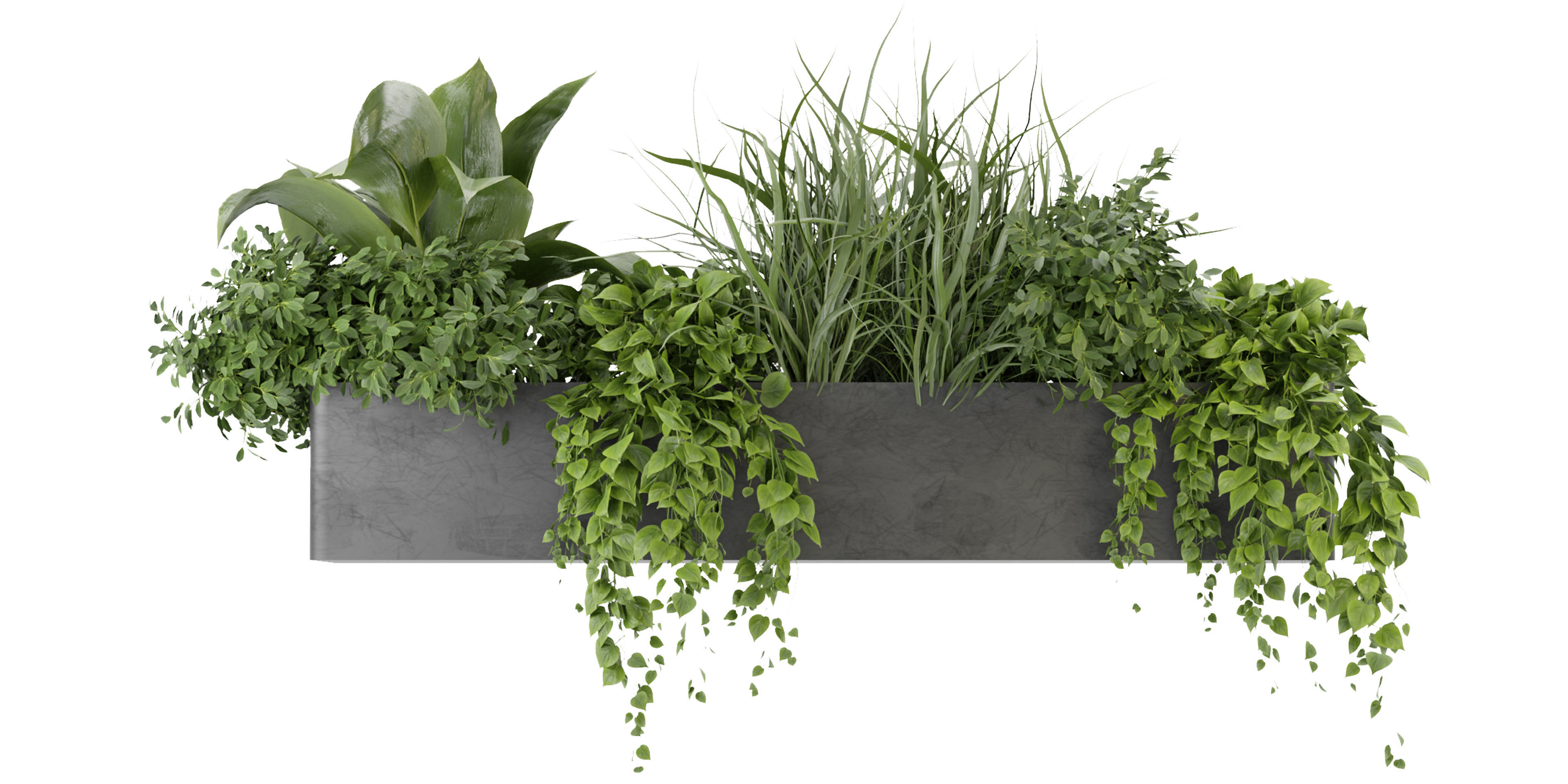 Collection plant vol 333 - blender model  3D model_1