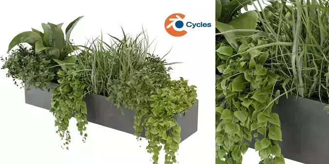 Collection plant vol 333 - blender model 