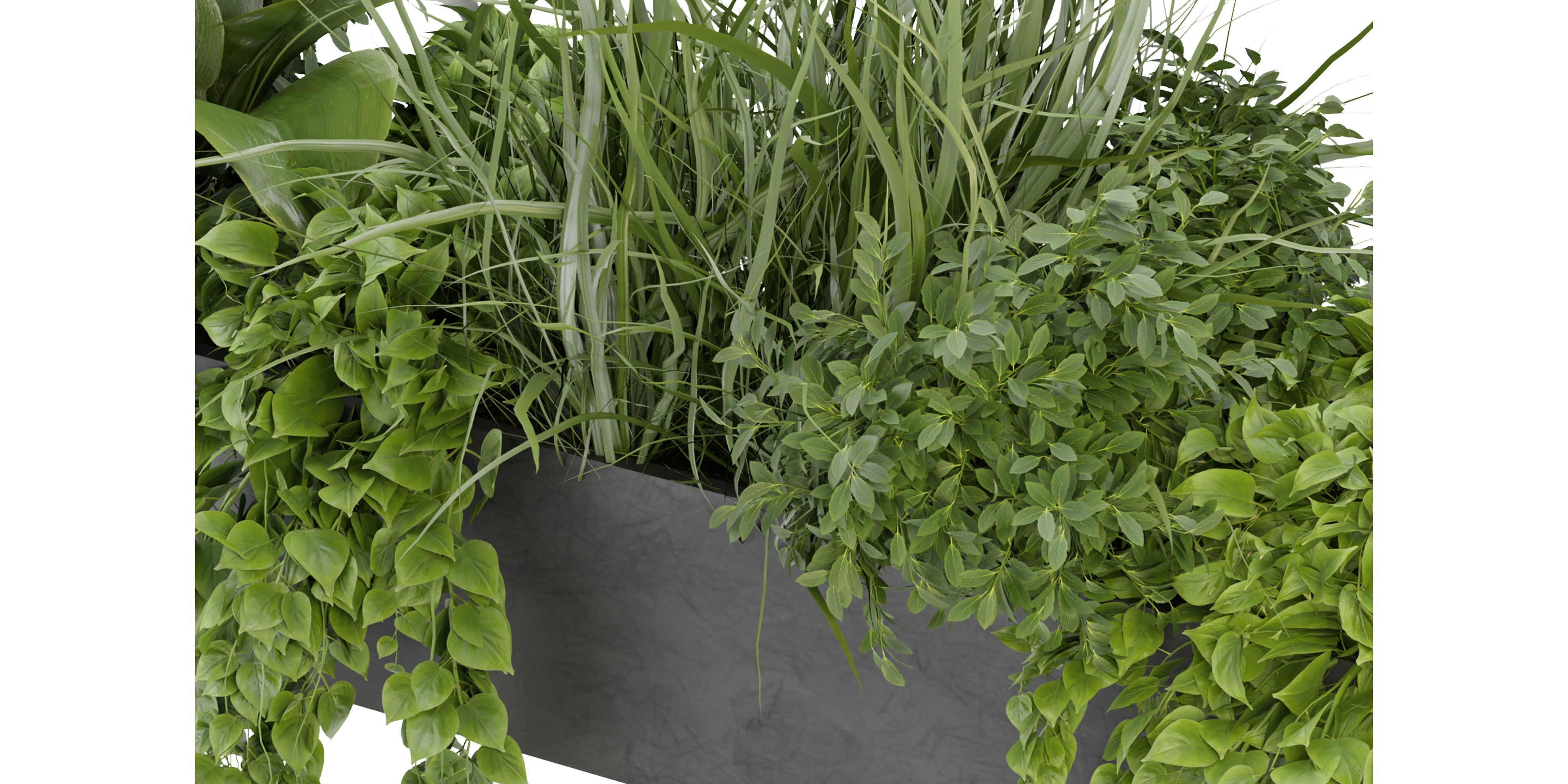 Collection plant vol 333 - blender model  3D model_3