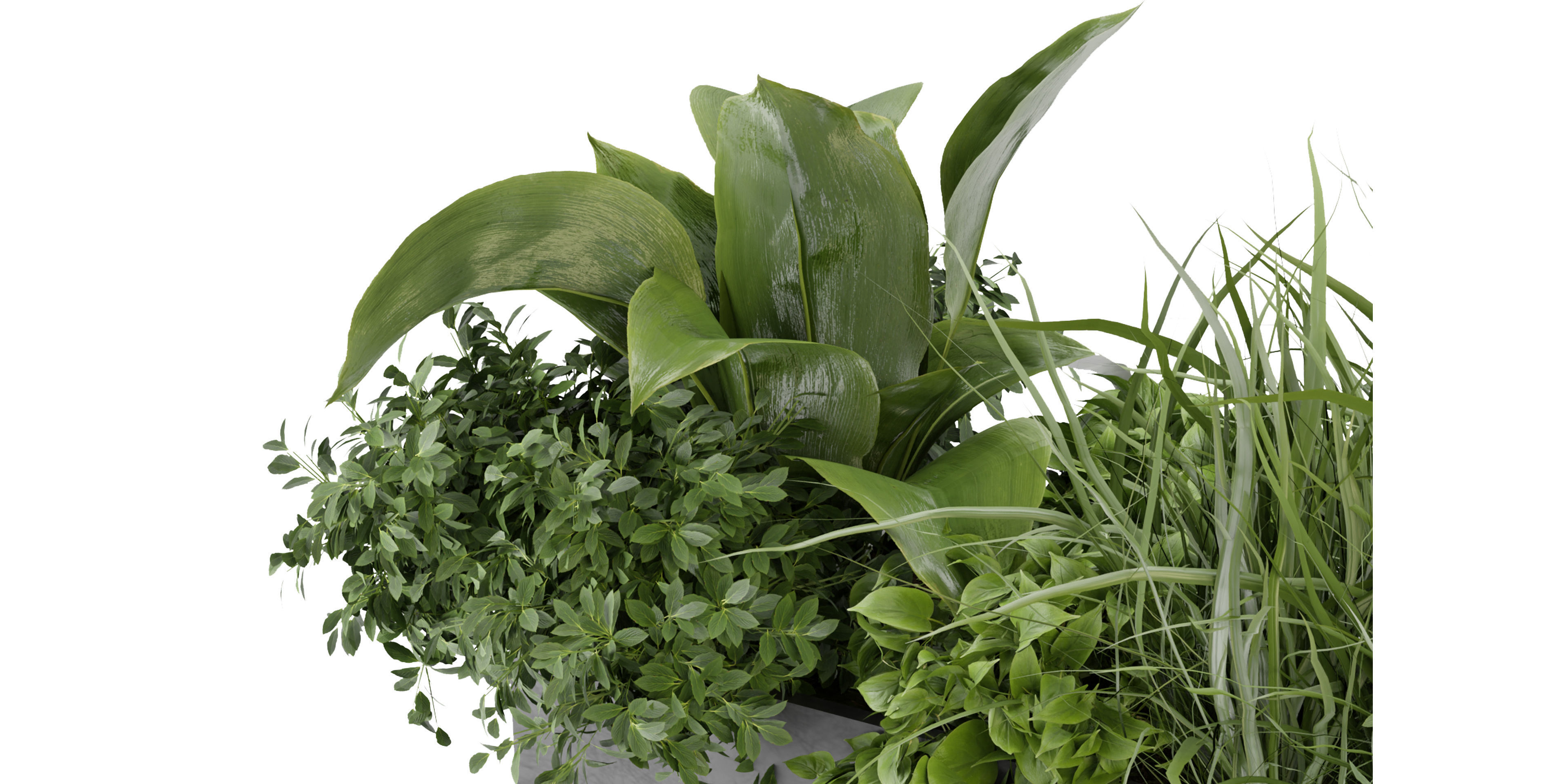 Collection plant vol 333 - blender model  3D model_4