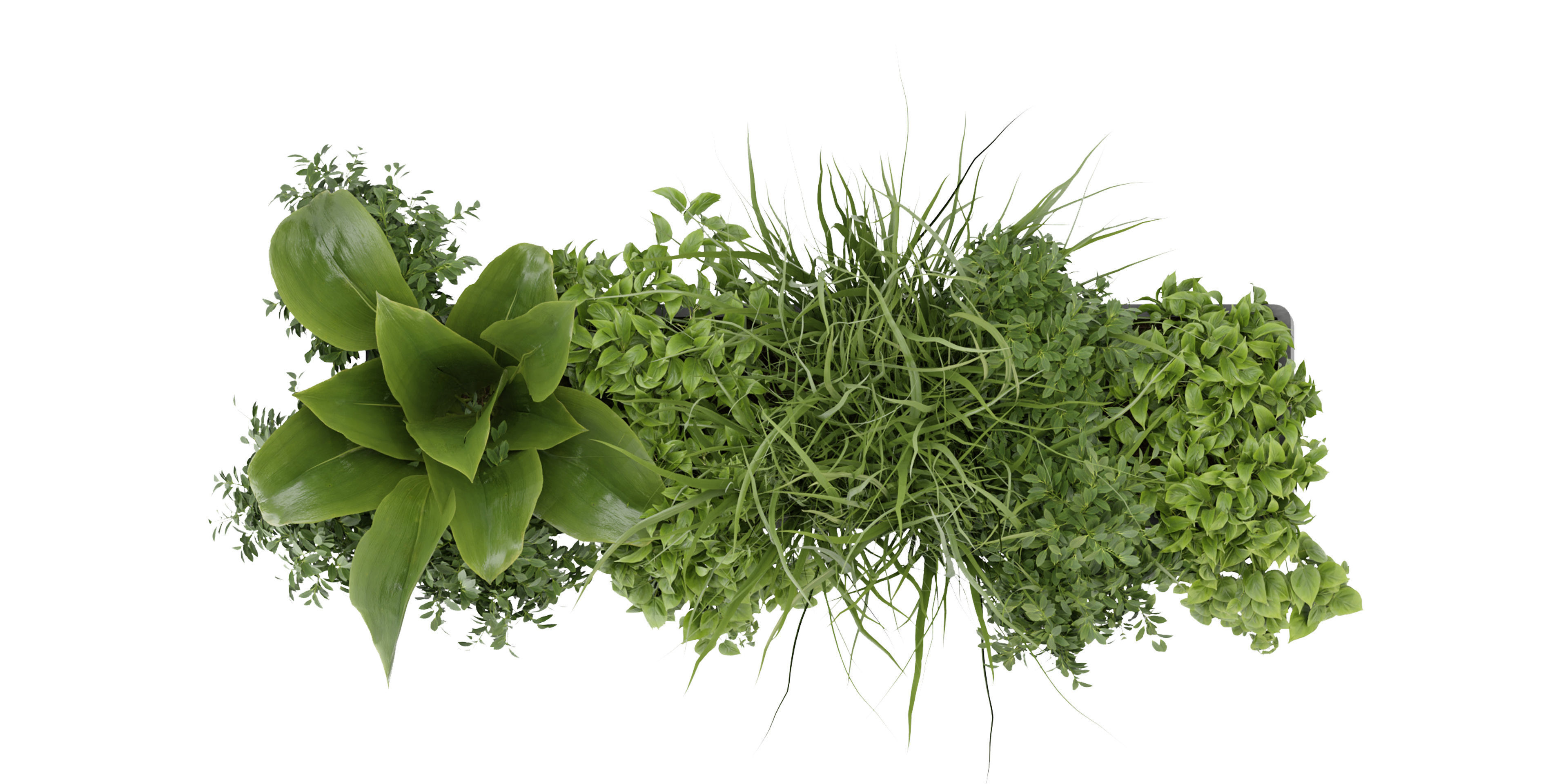 Collection plant vol 333 - blender model  3D model_5